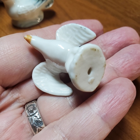 Seagull Collection - Picture 14 of 16